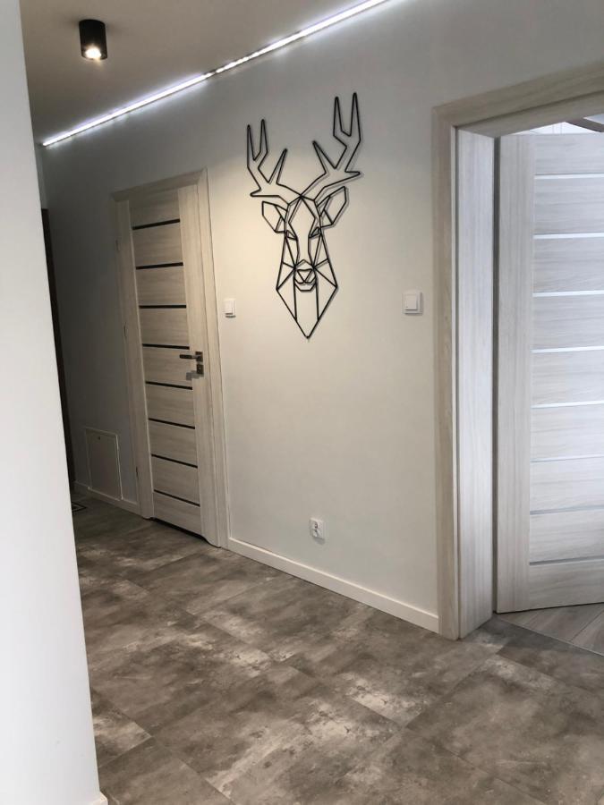 Apartament Happiness Jelenia Góra Exterior foto